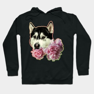 Floral Dog Hoodie